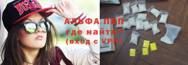 PSILOCYBIN Гусев