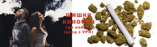 PSILOCYBIN Гусев