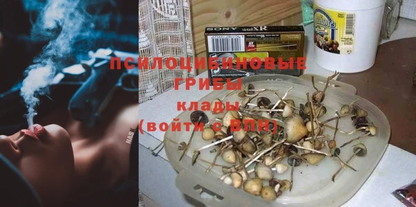 прущий лед Гусь-Хрустальный